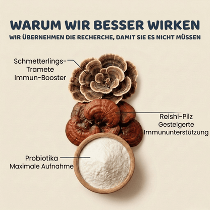 Mokuake - Pilz turkey tail