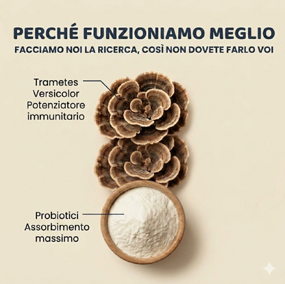 Mokuake - Fungo coda di tacchino
